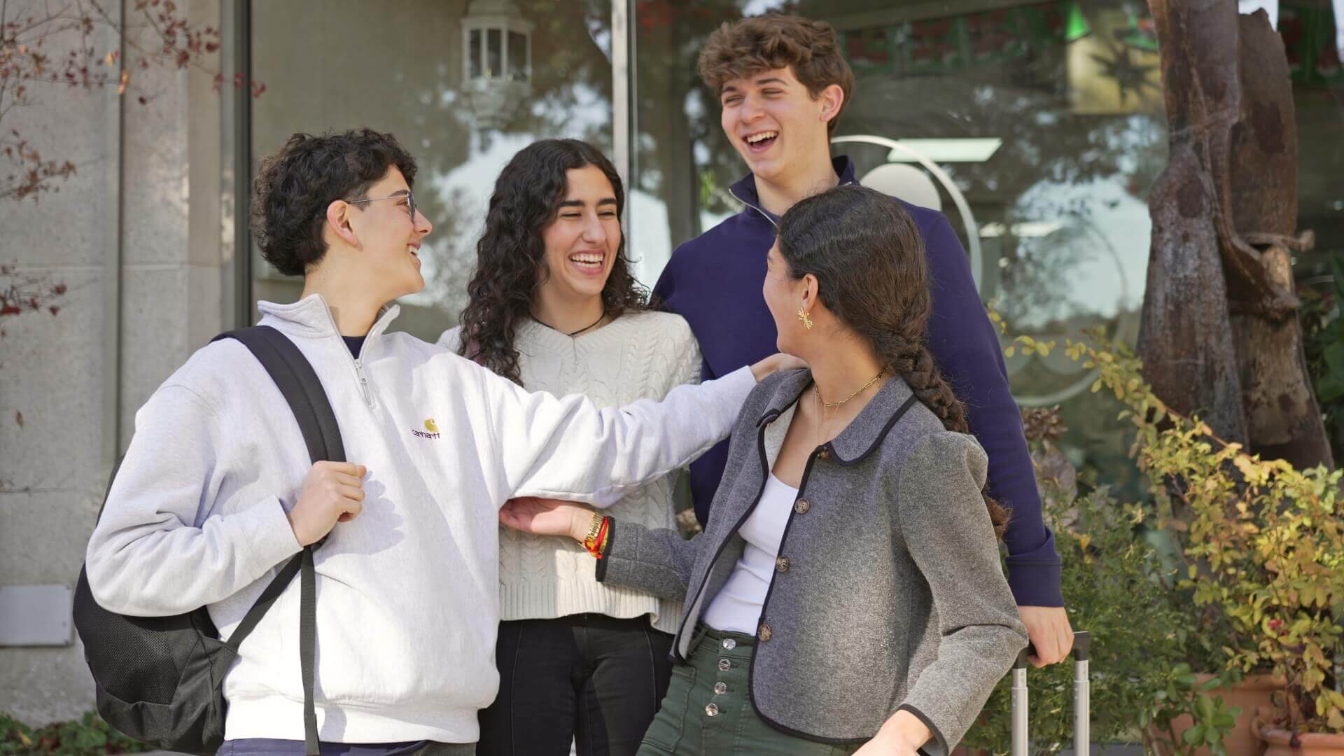 Liceo Sorolla International School